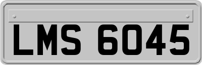 LMS6045