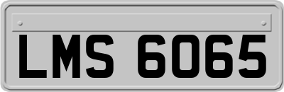 LMS6065