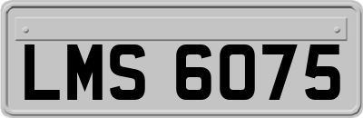 LMS6075