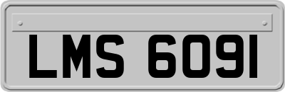 LMS6091