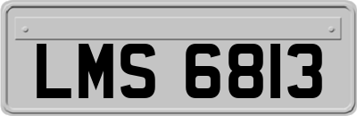 LMS6813