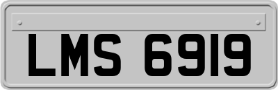 LMS6919