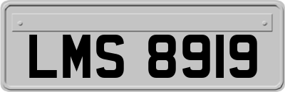 LMS8919