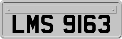LMS9163