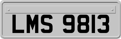 LMS9813