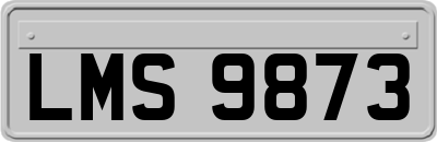 LMS9873