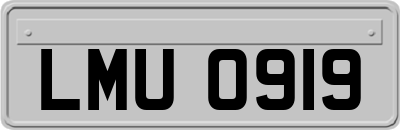 LMU0919