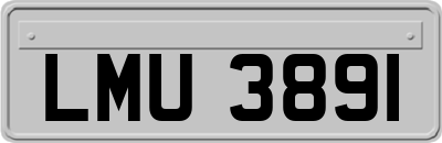 LMU3891