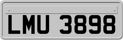 LMU3898