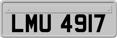LMU4917