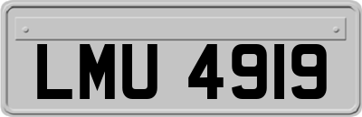LMU4919