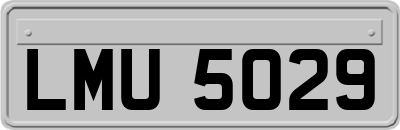 LMU5029