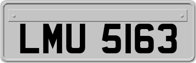 LMU5163