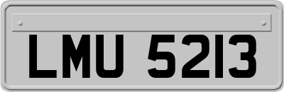 LMU5213
