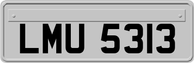 LMU5313