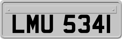 LMU5341