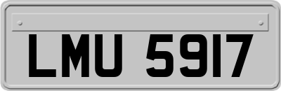 LMU5917