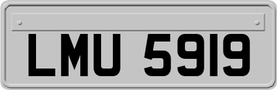 LMU5919