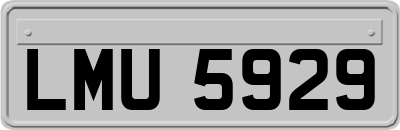 LMU5929