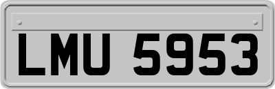 LMU5953