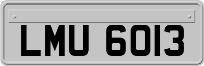 LMU6013