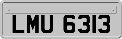 LMU6313
