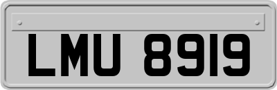 LMU8919