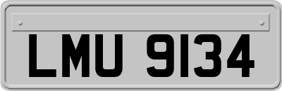 LMU9134