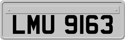 LMU9163