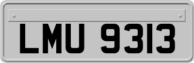 LMU9313