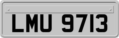 LMU9713