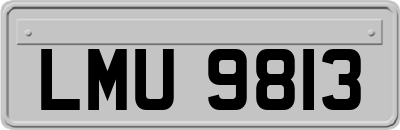 LMU9813