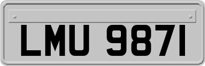 LMU9871