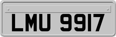 LMU9917