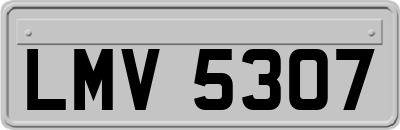 LMV5307