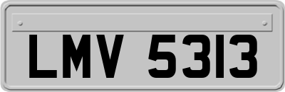 LMV5313