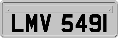 LMV5491