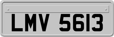 LMV5613