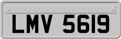 LMV5619