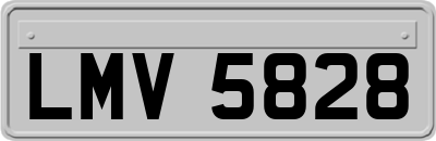 LMV5828