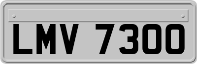 LMV7300