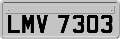 LMV7303