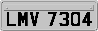 LMV7304