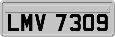 LMV7309