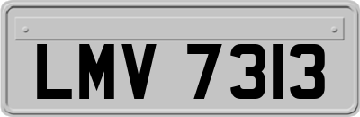 LMV7313