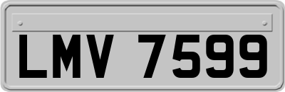 LMV7599