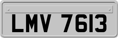 LMV7613