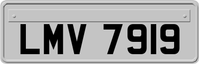 LMV7919