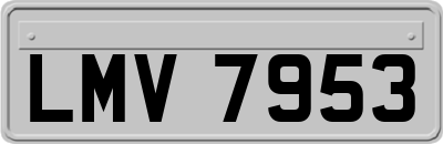LMV7953