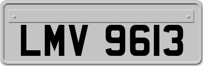 LMV9613